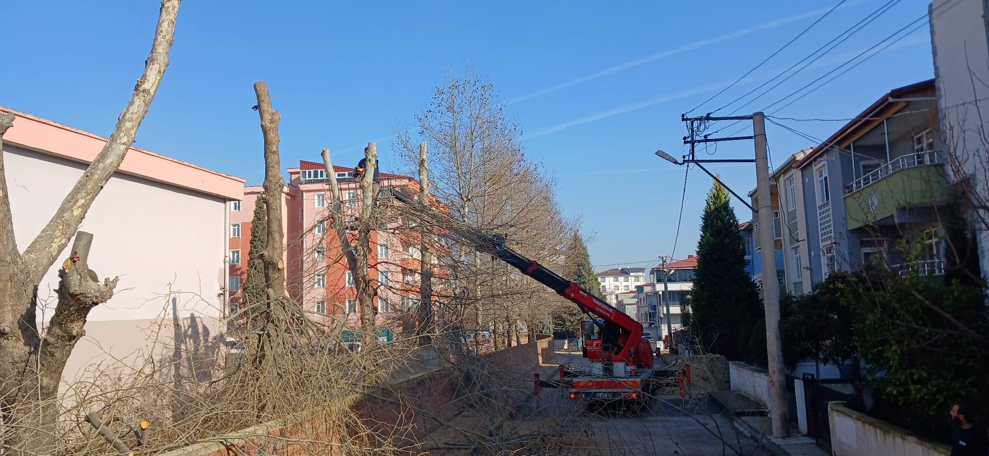 Dilovasnda 15 Tatilde Aa Budama almalar Devam Ediyor